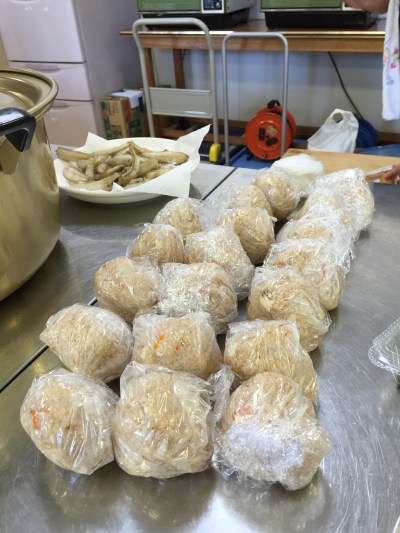 Japanese Rice ball, called onigiri