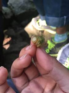 ojiichan gave us this