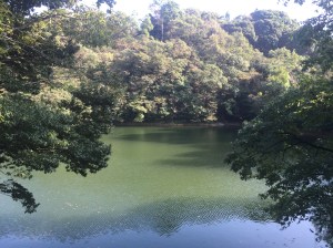 we can not swim in that lake