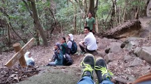 it will be our last journey with damar chan 