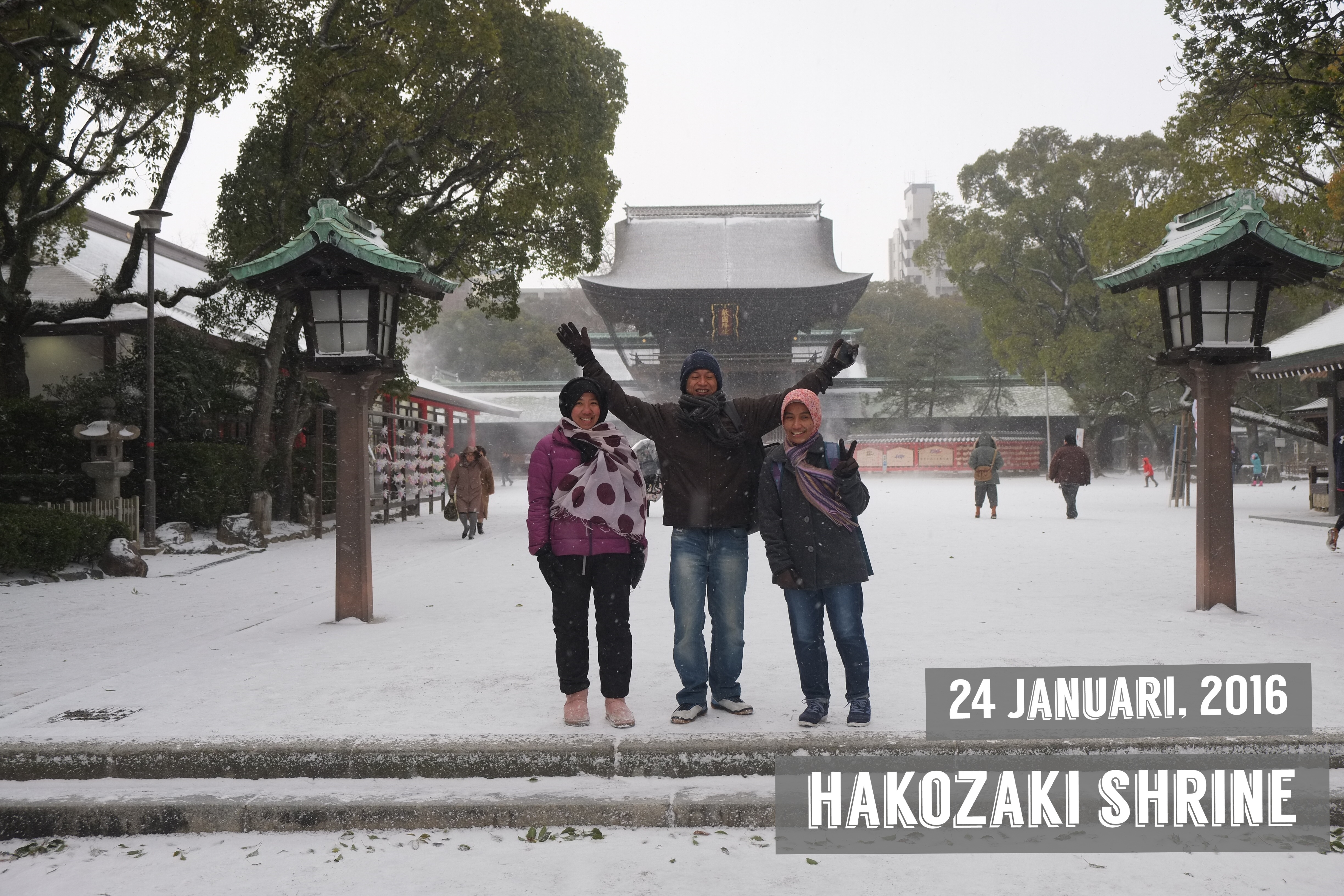 Processed with MOLDIV